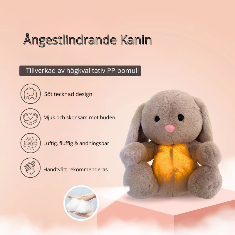 Andande Kanin